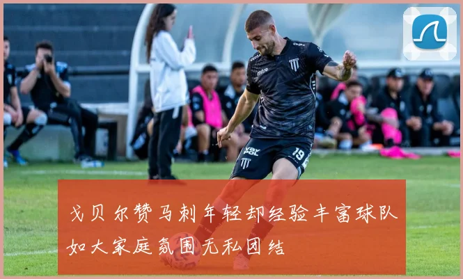戈贝尔赞马刺年轻却经验丰富球队如大家庭氛围无私团结